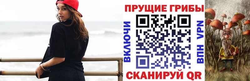 как найти закладки  Калининец  Галлюциногенные грибы ЛСД 